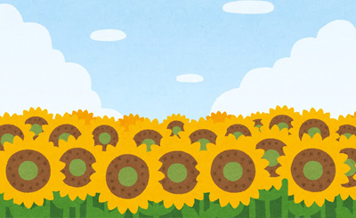 SP ひと夏の思い出「ラウラ・ボーデヴィッヒ」(サイン入り) 販売 | IS