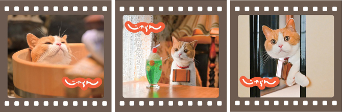 東京駅じゃらんフェア2025」開催！猫の日を彩る“にゃらん”スペシャル