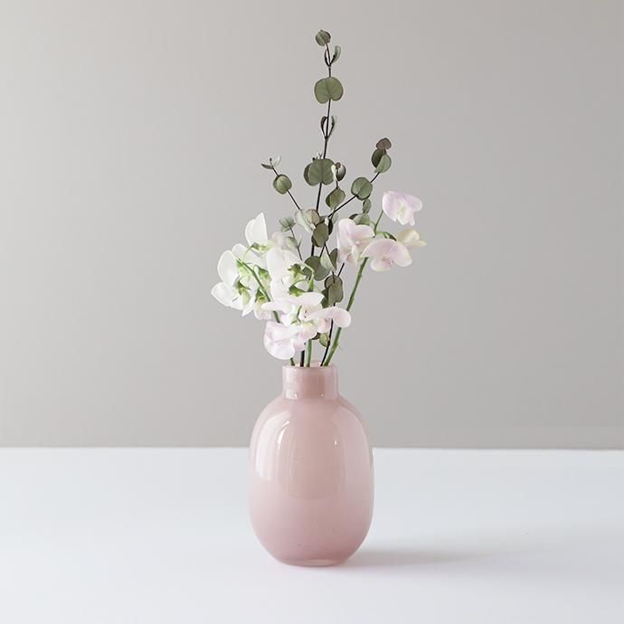 暮らしに植物を取り入れよう♪ | hushykke［ハシュケ］