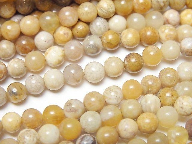 フォシルコーラル（化石珊瑚） ラウンド4.5mm 1連｜天然石ビーズの卸