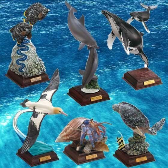 いきもん ネイチャーテクニカラー 小笠原 特装版 NTC 全6種フルセット