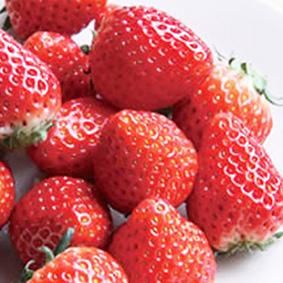 季節限定】あすかルビーいちご寒天 - 葛餅・創作吉野葛菓子！創業百