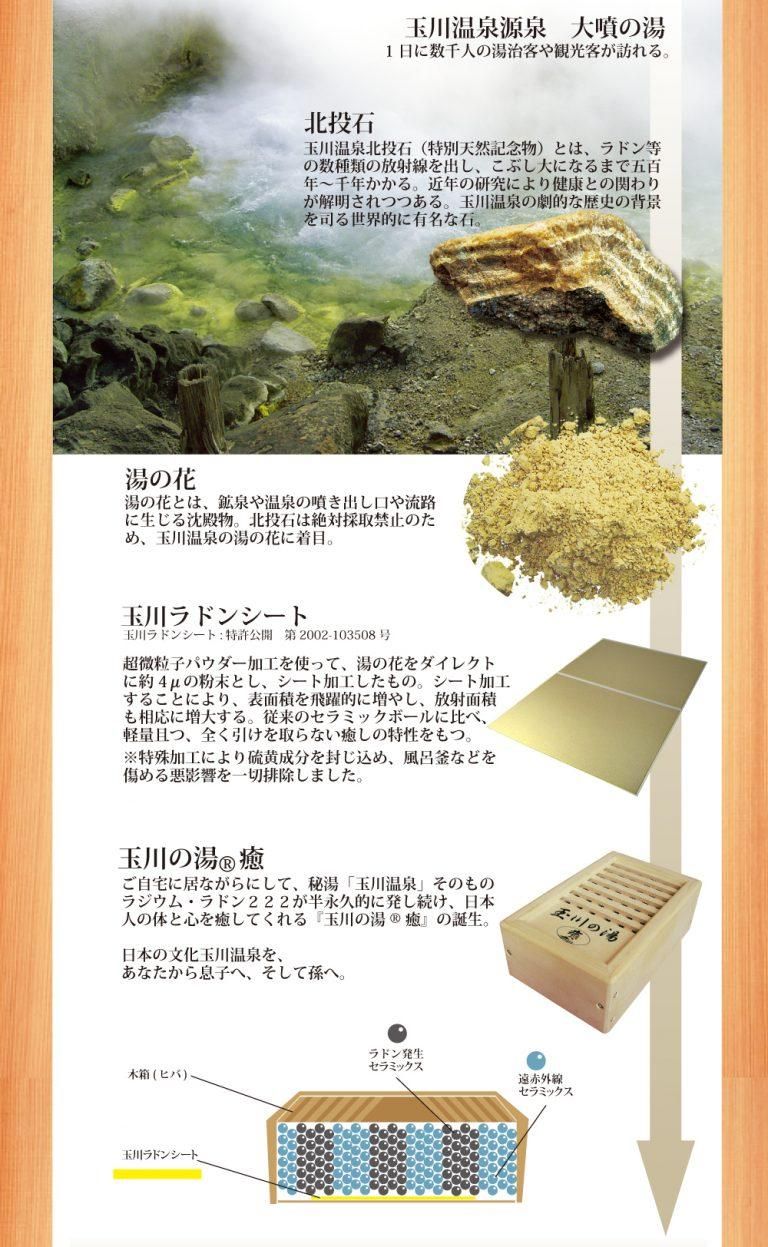 ジャパンテンプレート 玉川の湯（標準版） - 自然食品店ナチュラル