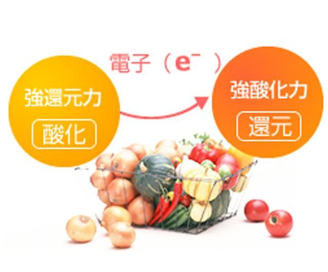 FTWビューラプレート（調理用万能プレート/美容健康調理器具）