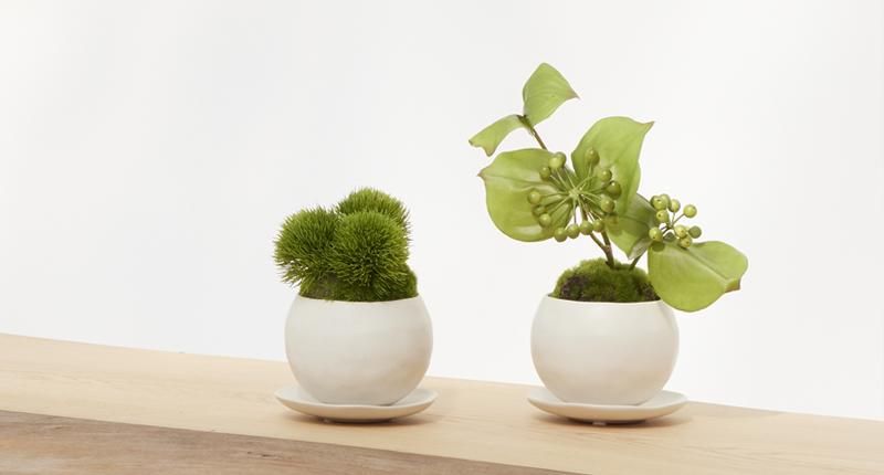 CUPBON カップボン 人工盆栽の商品一覧│フェイクグリーン・造花専門店