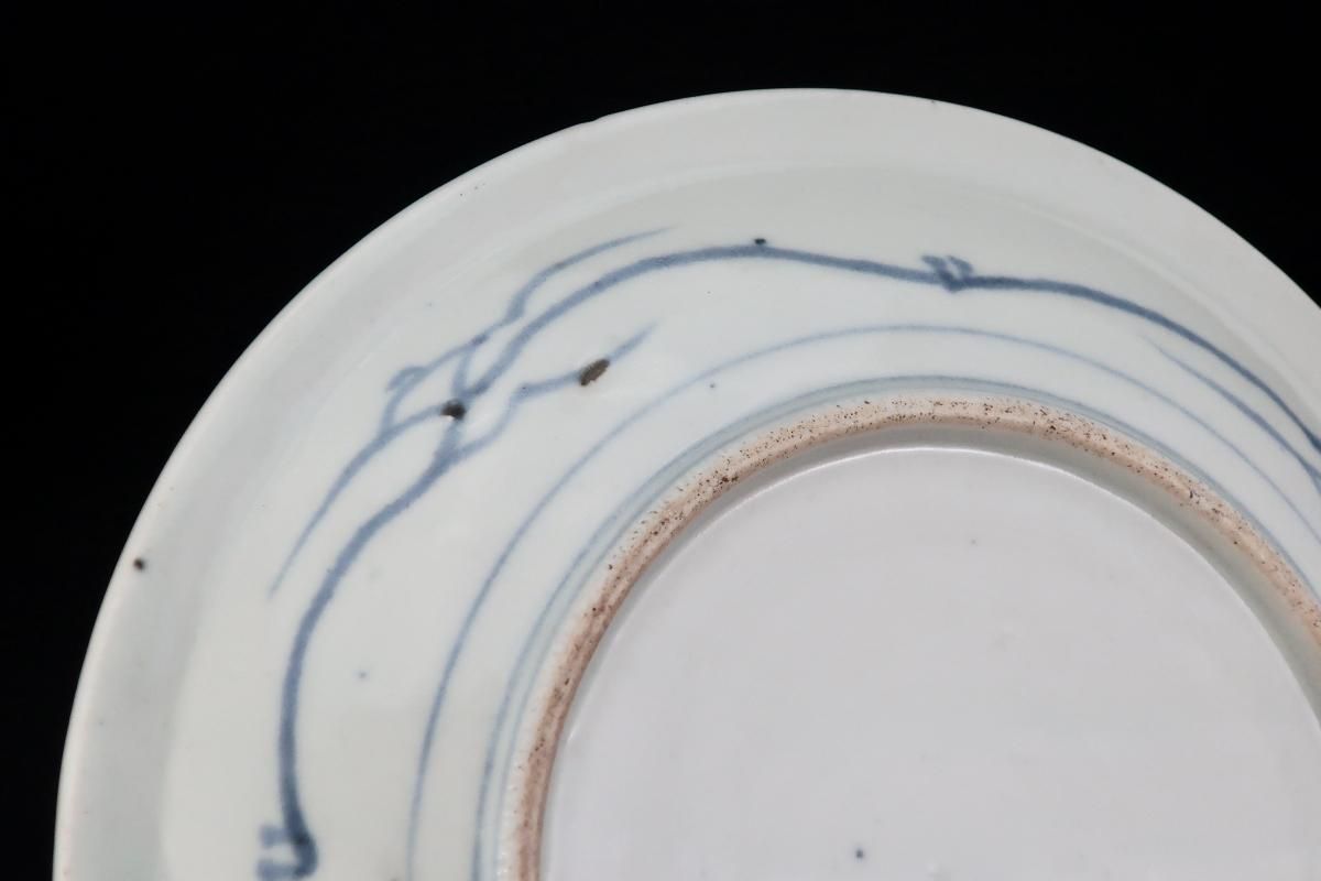 伊万里染付萩唐草文七寸皿 四枚組 / Imari Blue & White Plates set of