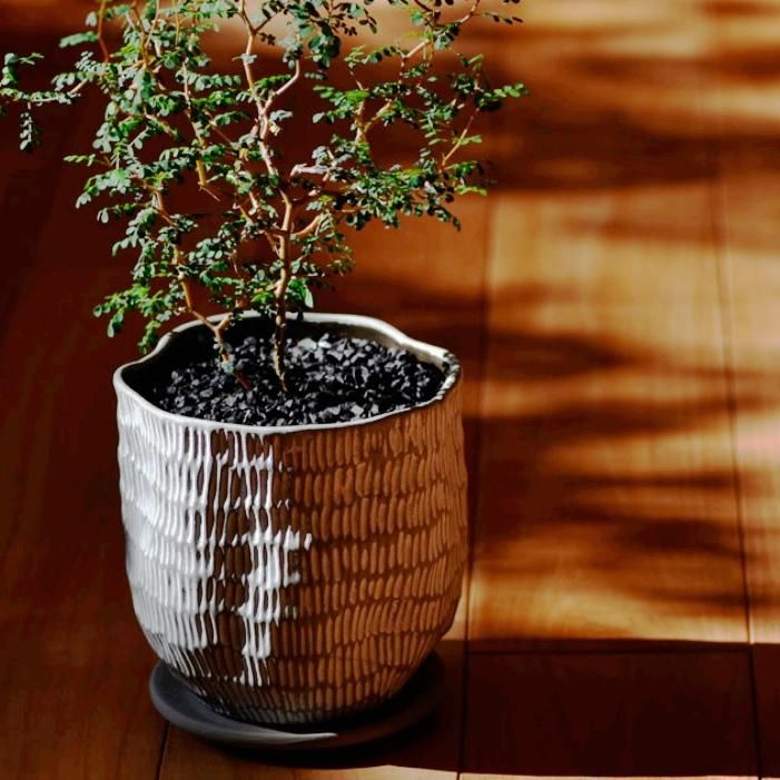 植木鉢 おしゃれ 陶器鉢 ハピM(2色)＜ 14cm 4.5号 穴あり 受け皿あり