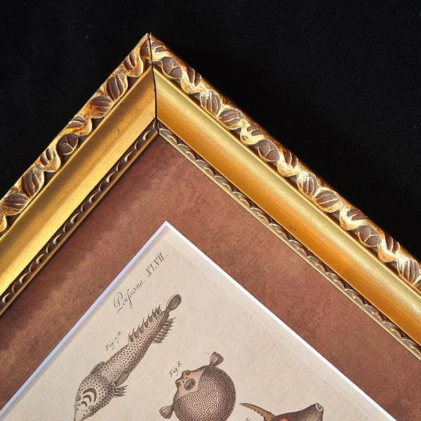 額装した銅版画・魚/フランスアンティーク雑貨・家具のSibora【シボラ】