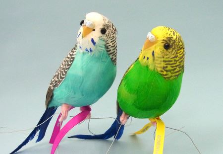 ビックリするほど本物そっくり！超リアルな「鳥のオブジェ」 - 価格