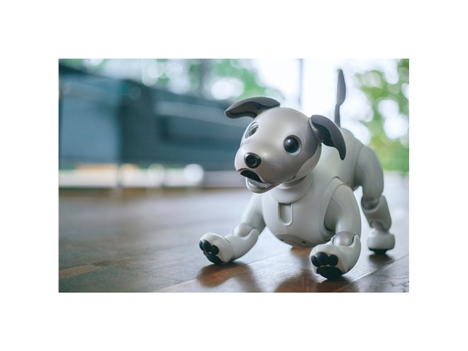 ソニー、オーナーに寄り添うロボット犬「aibo（アイボ）」を198,000円