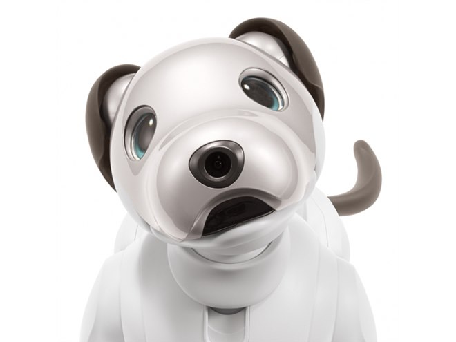ソニーが「aibo（アイボ）」の予約販売を7/19開始、すべての希望者に