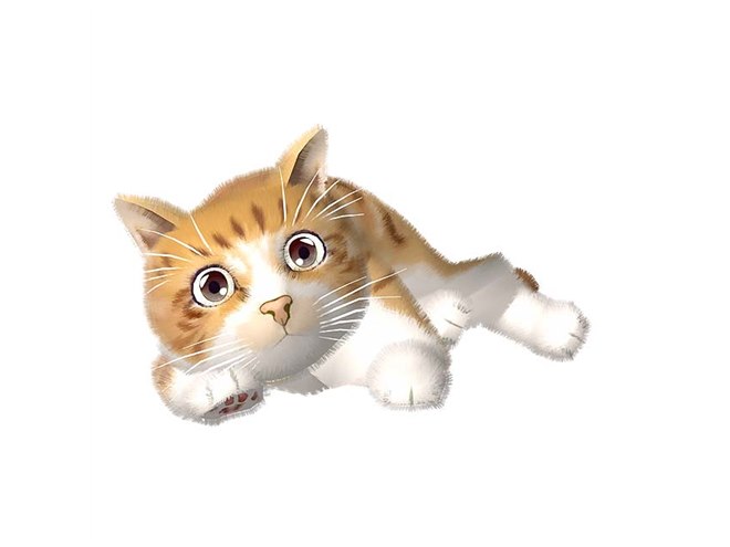 ユピテル、69,300円の猫型バーチャルペット「Juno」 - 価格.com