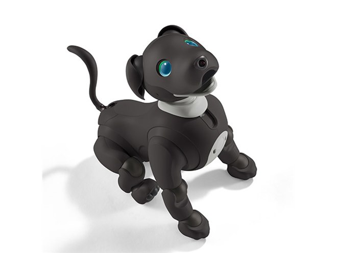 aibo（アイボ）」の2023年カラー「エスプレッソ エディション」が本日1
