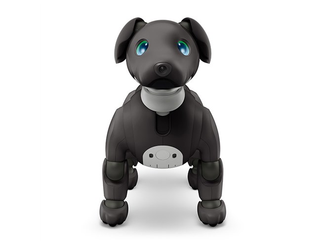 aibo（アイボ）」の2023年カラー「エスプレッソ エディション」が本日1