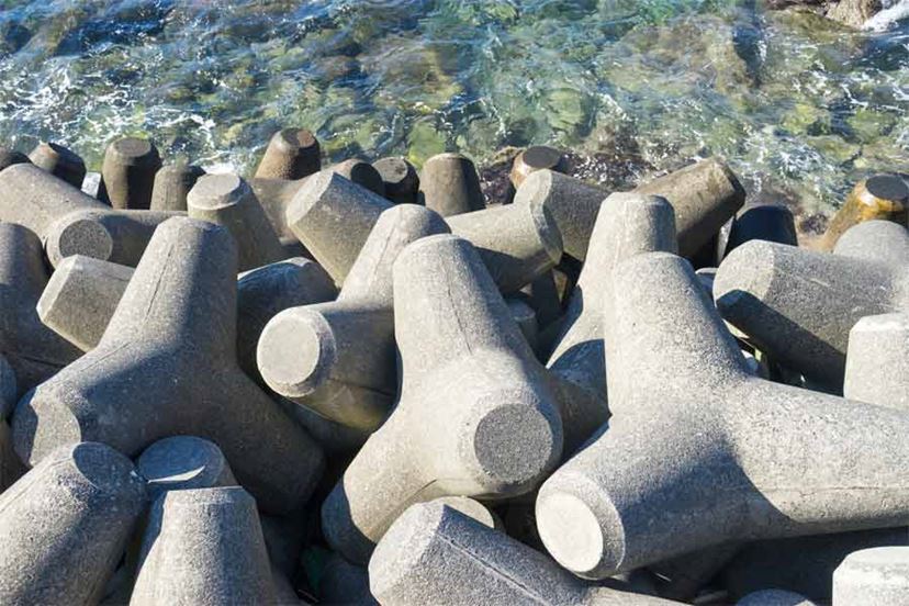 手のひらサイズのテトラポッド「テノリテトラ」がカワイすぎ♪ - 価格