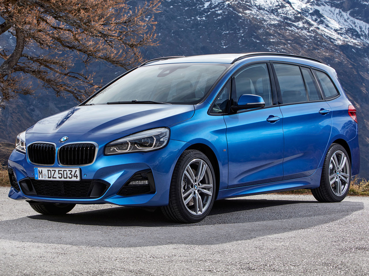 BMW 2シリーズ グランツアラー 2015年モデル 218d Gran Tourer