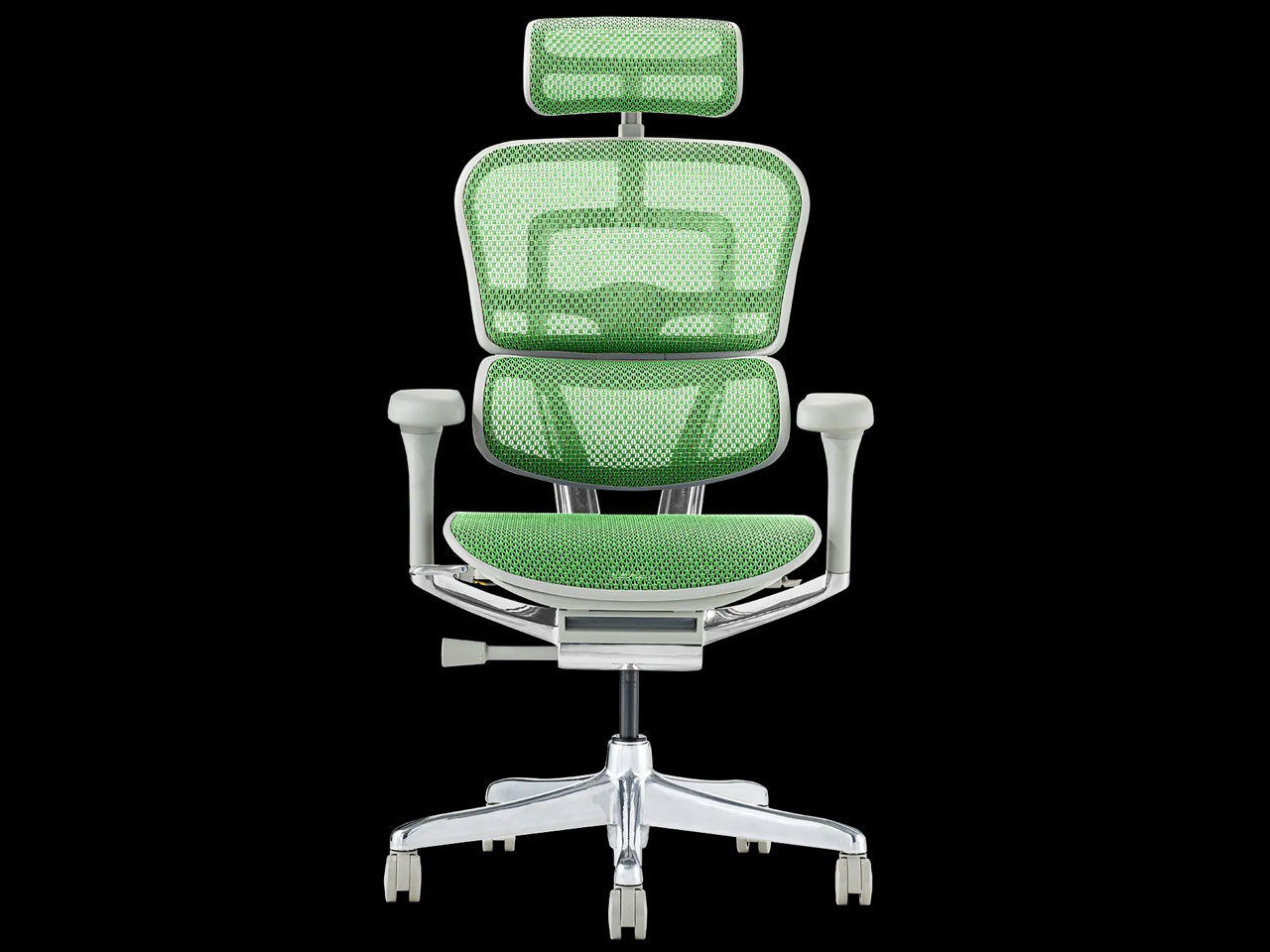 エルゴヒューマン Ergohuman PRO2 EHP2-HAM-DR-GF-BK [ブラック] 価格