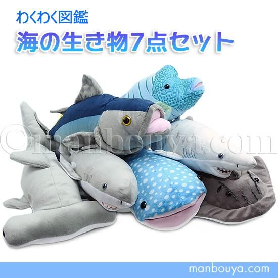 10%OFF】水族館 ぬいぐるみ サメ 魚 海の生き物 A-SHOW 栄商 わくわく