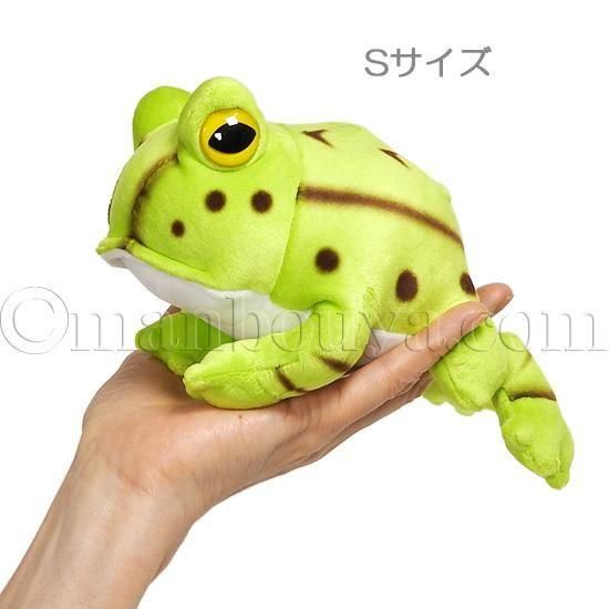 10%OFF】カエル ぬいぐるみ ベルツノガエル アニマニア 3サイズセット