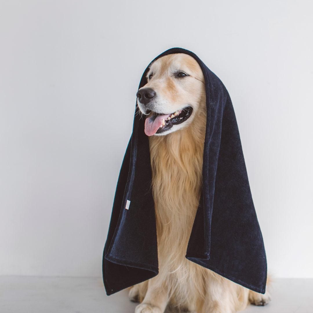 グルーミング バスタオル - ドッググッズ・猫グッズ通販 free stitch