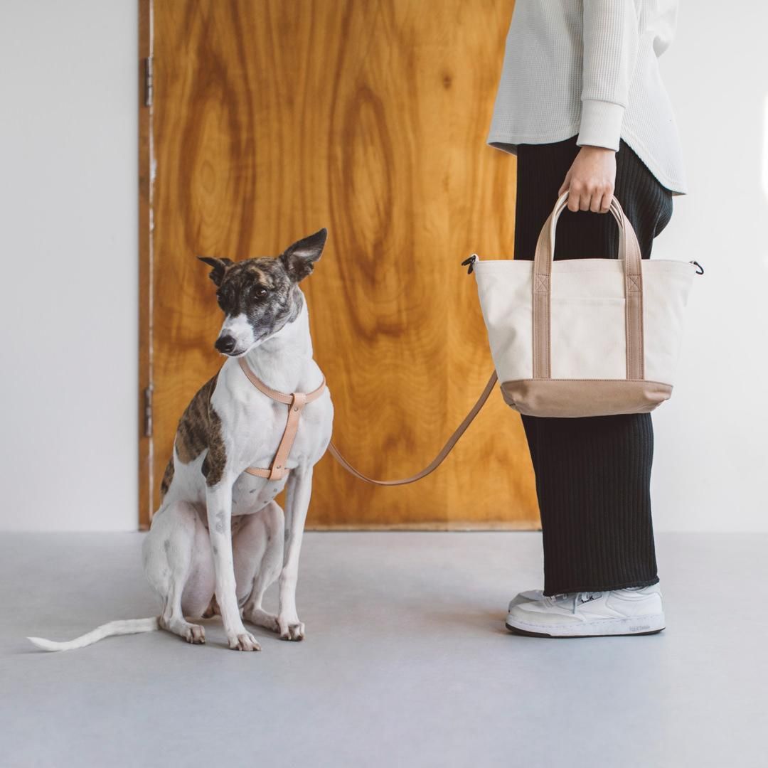 ストローリングバッグ - ドッググッズ・猫グッズ通販 free stitch