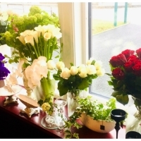 image.php?id=750839&p=shopi&s=