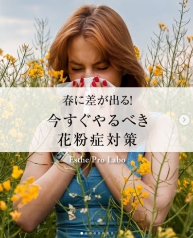 1/22発売の限定アイテム✨ マンゴー＆シャインマスカットのハーブ