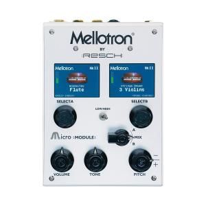 After Later Audio | Monsoon | 中古 - Used - モジュラーシンセ