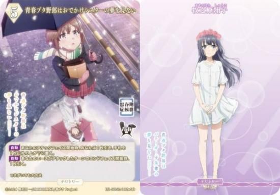 専用 青春ブタ野郎 2BOX 専用 青春ブタ野郎 2BOX 専用 青春ブタ野郎