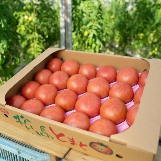 松島とまと 【4kg箱】 送料無料！！ - サンフレッシュ松島公式