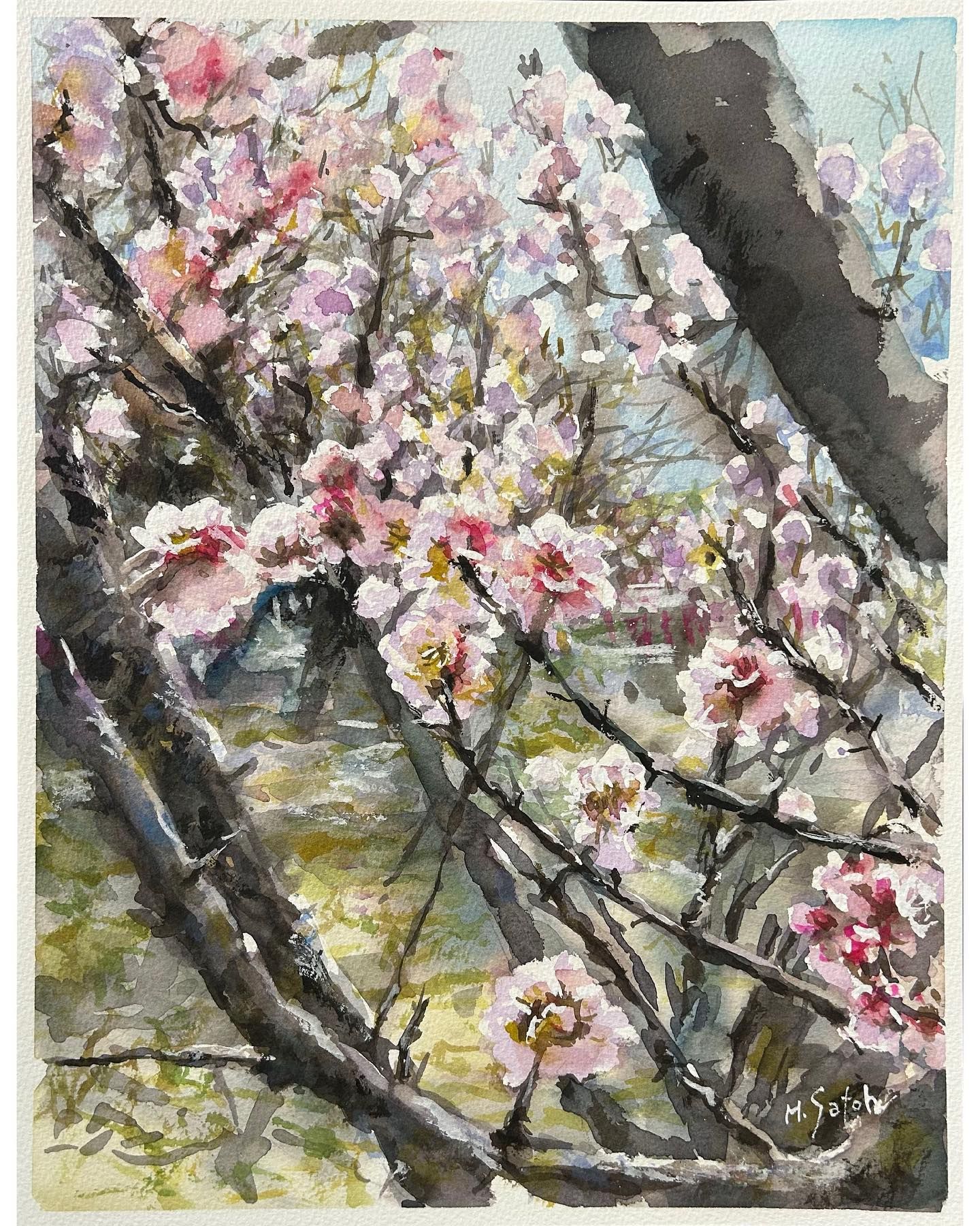 f8e6d291471add3fe4bcecc1ff8713