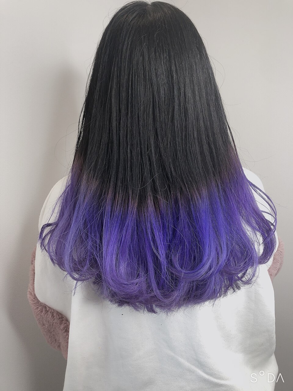 グラデーションカラー】【パープル】【ツートンカラー】：L053416117