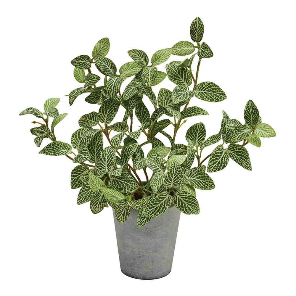 フィトニアポット フェイクグリーン | 花＆グリーン 通販