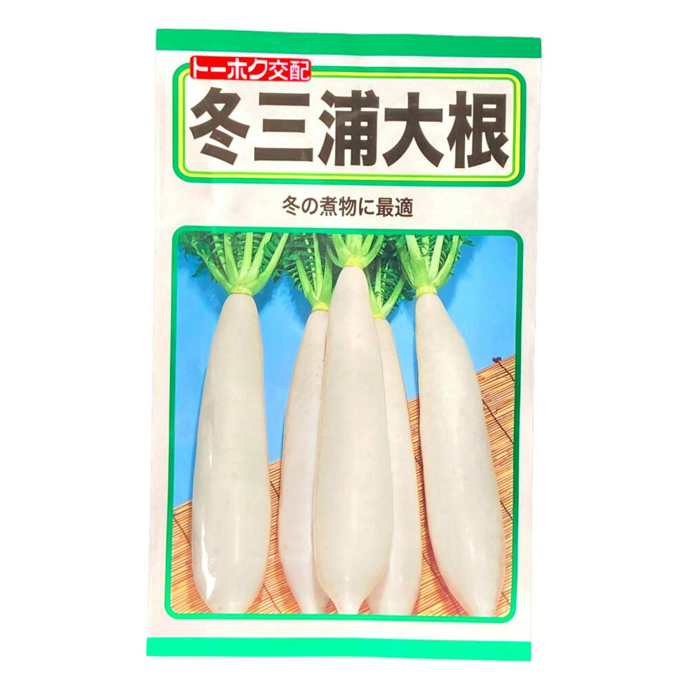 F1 冬三浦大根 | 花＆グリーン 通販 | ホームセンターのカインズ