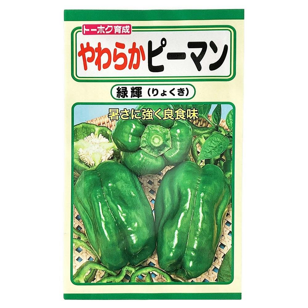 やわらかピーマン 緑輝(販売終了) | 花＆グリーン 通販