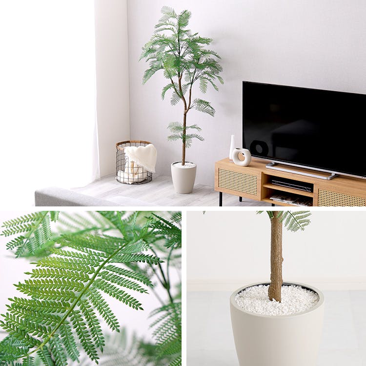 お手入れ簡単フェイクグリーン エバーフレッシュ Mサイズ(160cm