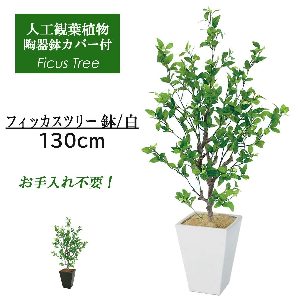 GREEN COFFRET フィッカスツリー115陶器鉢付・白 人工観葉植物