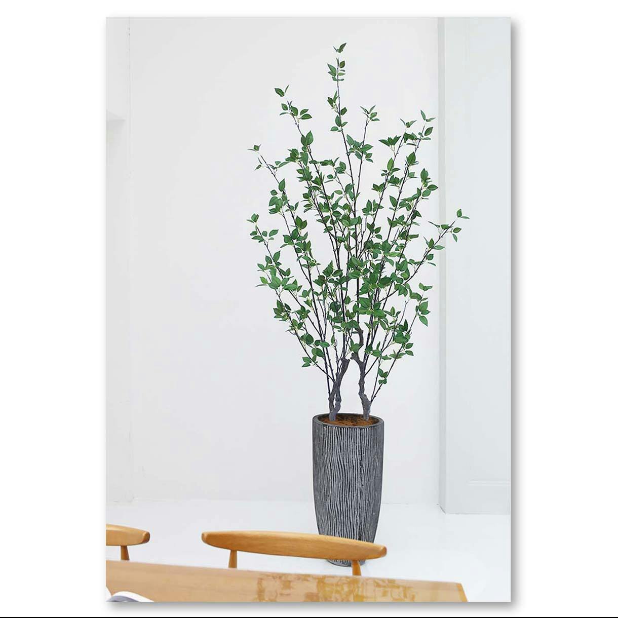 GREEN COFFRET シャラ株立ち180cm 人工観葉植物 フェイクグリーン