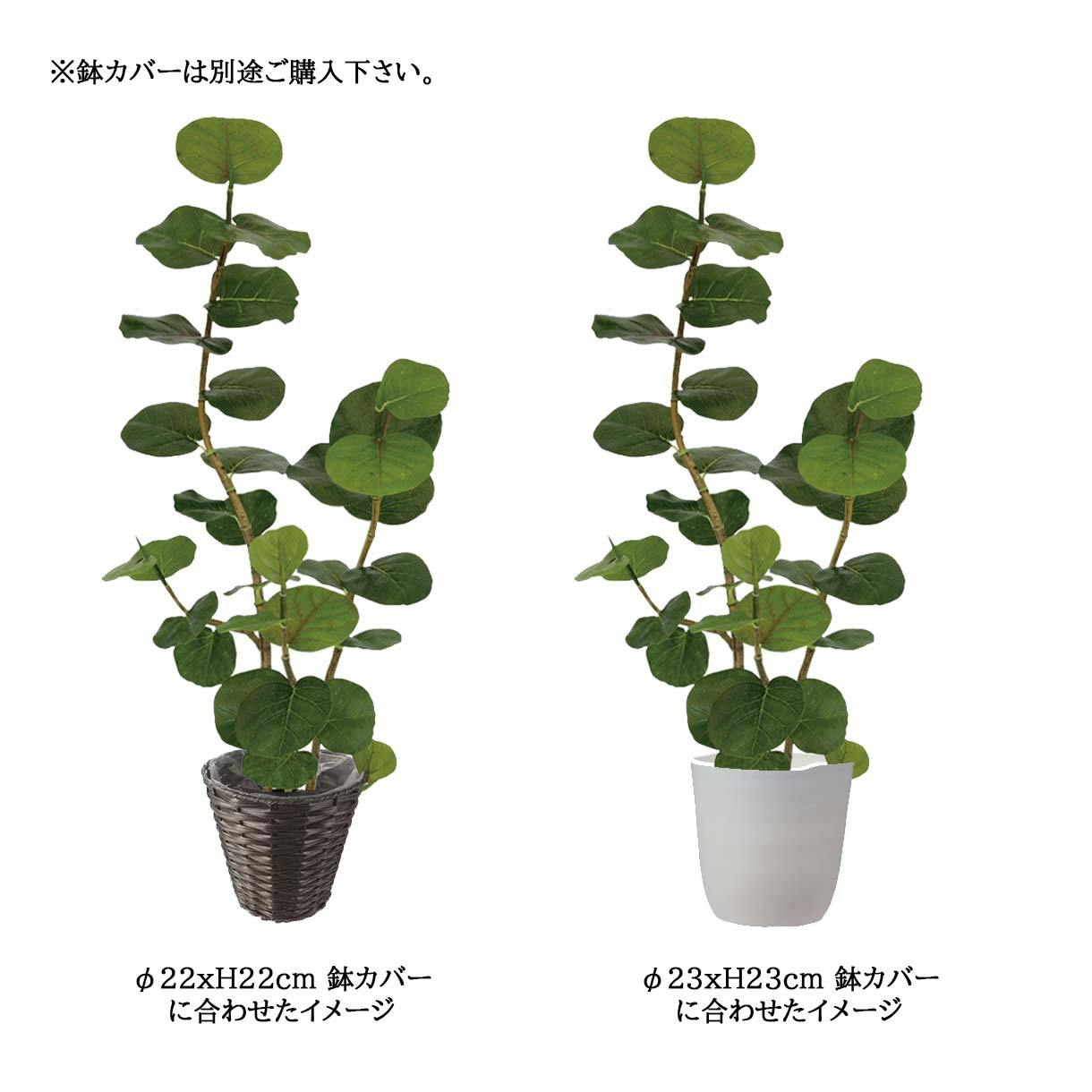 GREEN COFFRET シーグレープ125cm 人工観葉植物 フェイクグリーン