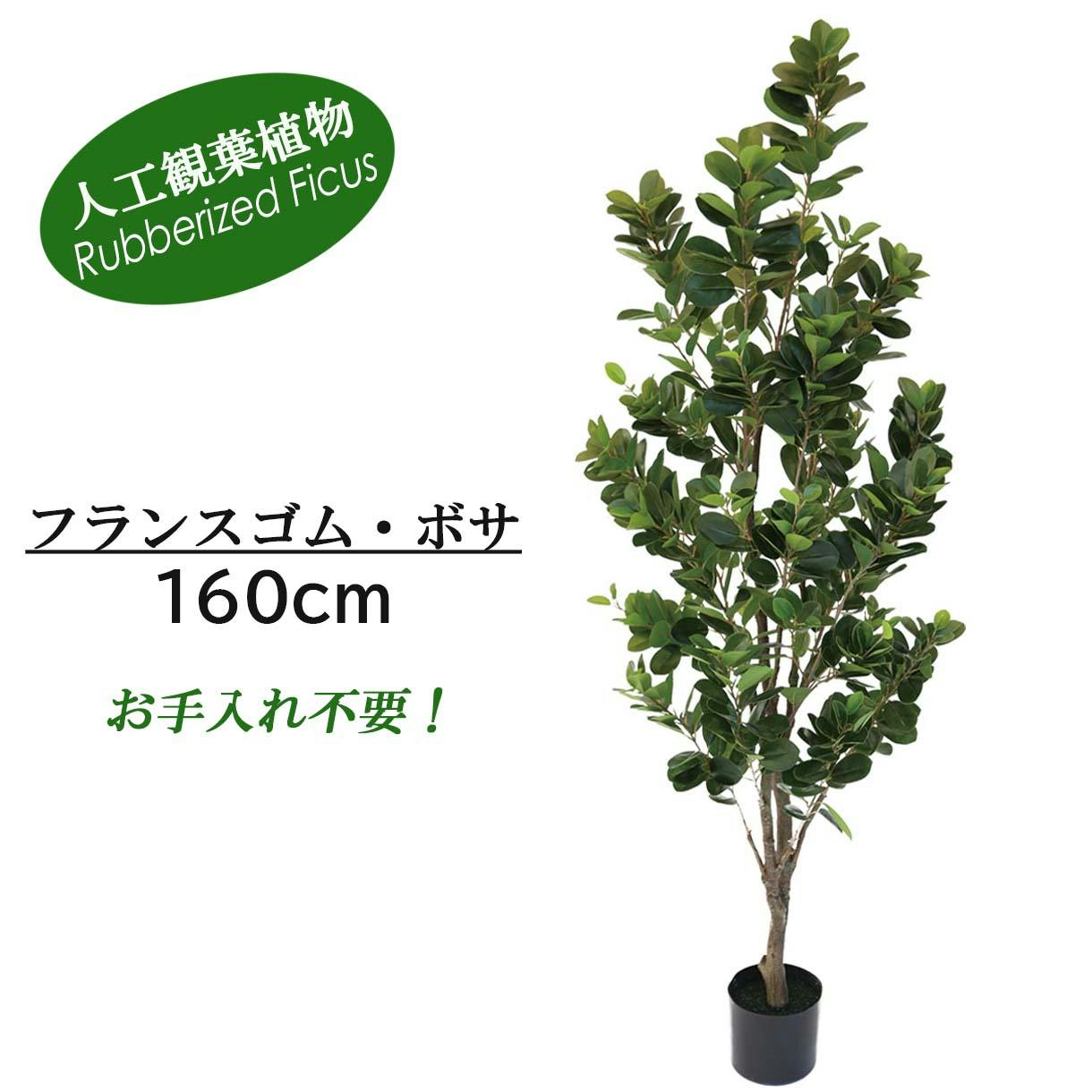 GREEN COFFRET フランスゴムボサ160cm 人工観葉植物 フェイクグリーン