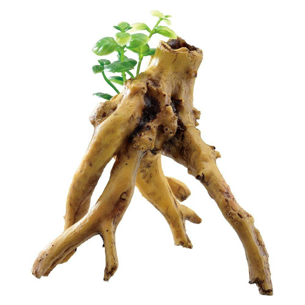 ジェックス 癒し水景水草付き流木ブランチ 観賞魚 用品 観賞魚用