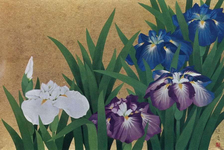 山口蓬春の描いた花菖蒲と紫陽花: Hearts and Numbers