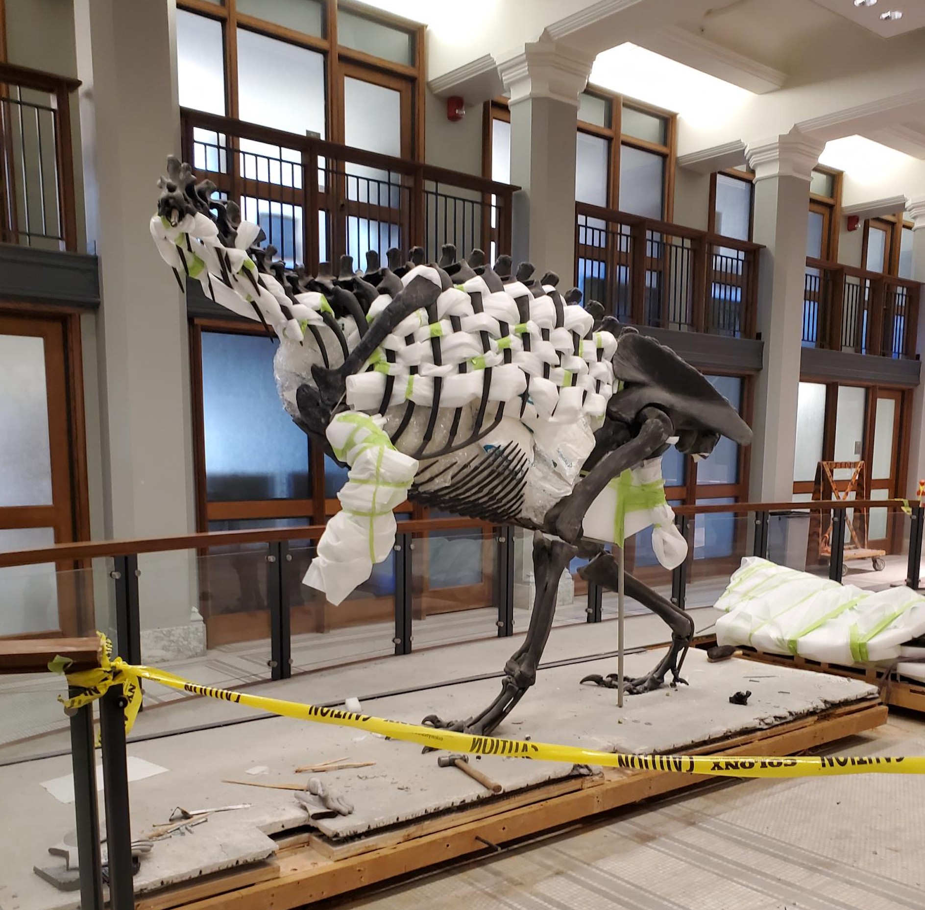 Guyot Hall's Allosaurus Gets a Facelift | Princeton International