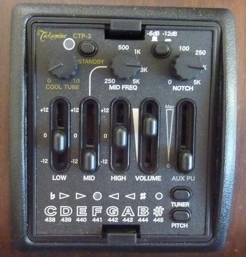 TAKAMINE/NPT-012 BS ￥SOLD (税抜) | アコースティックプラザ井上楽器