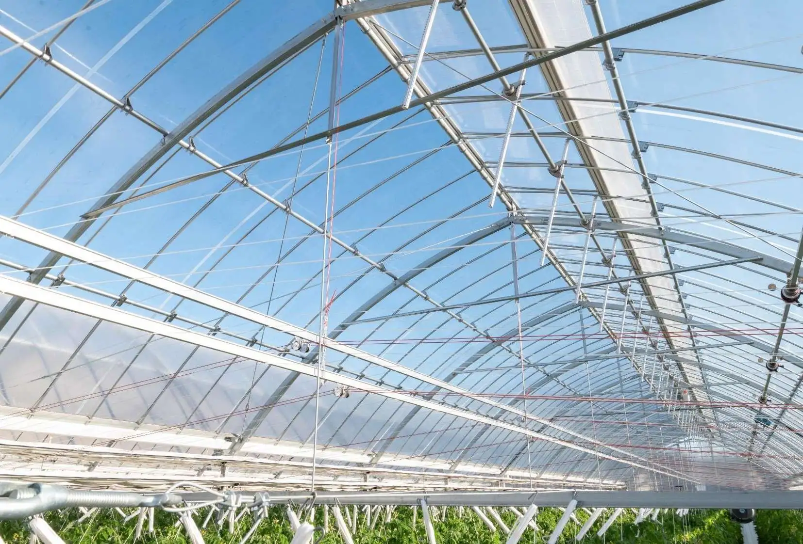 ビニールハウスの値段・価格の相場とは？業者の選び方を徹底解説