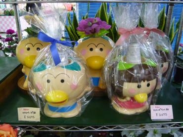 はなかっぱ鉢 ももかっぱちゃん鉢 | 花屋ブログ | 山形県上山市の花屋