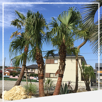 植栽販売｜外構・エクステリアのインチッタ