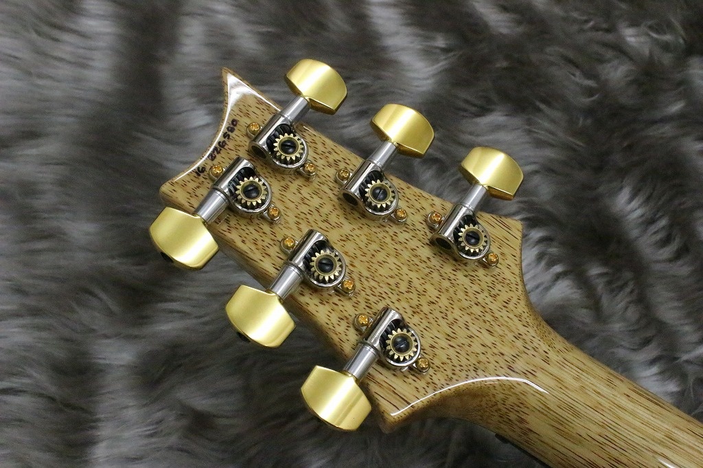 展示情報】Paul Reed Smith(PRS) – Custom24 2016/LTD PT｜島村楽器