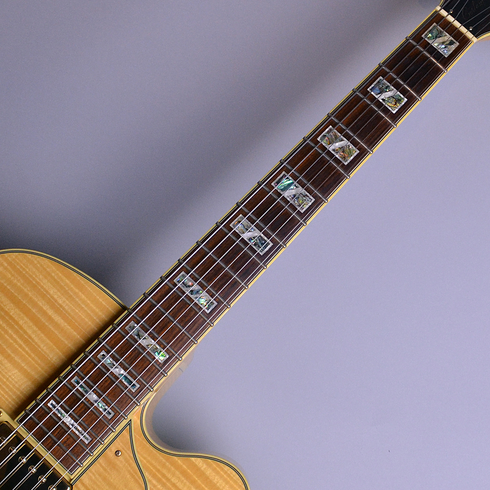 入荷情報】Ibanez – AF105 Natural (NT) 【S/N:S06015410】｜島村楽器