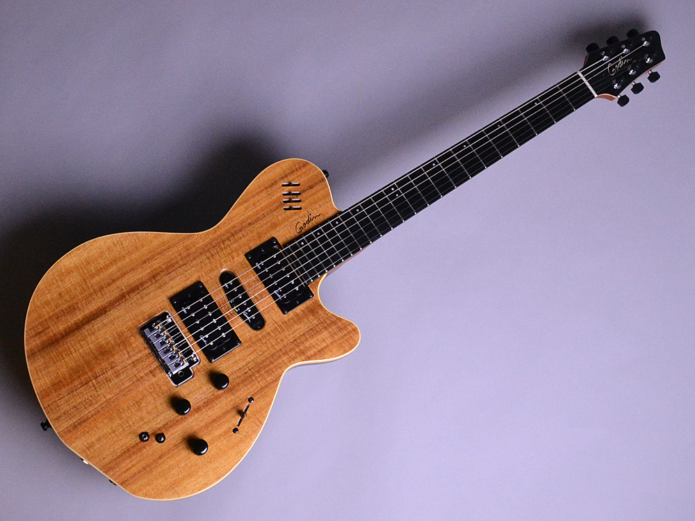 入荷情報】Godin – Limited Edition xtSA KOA【S/N:16402155】｜島村